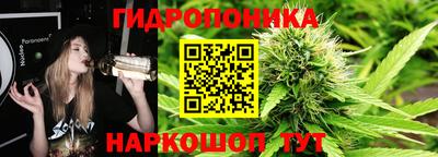 экстази Ачхой-Мартан