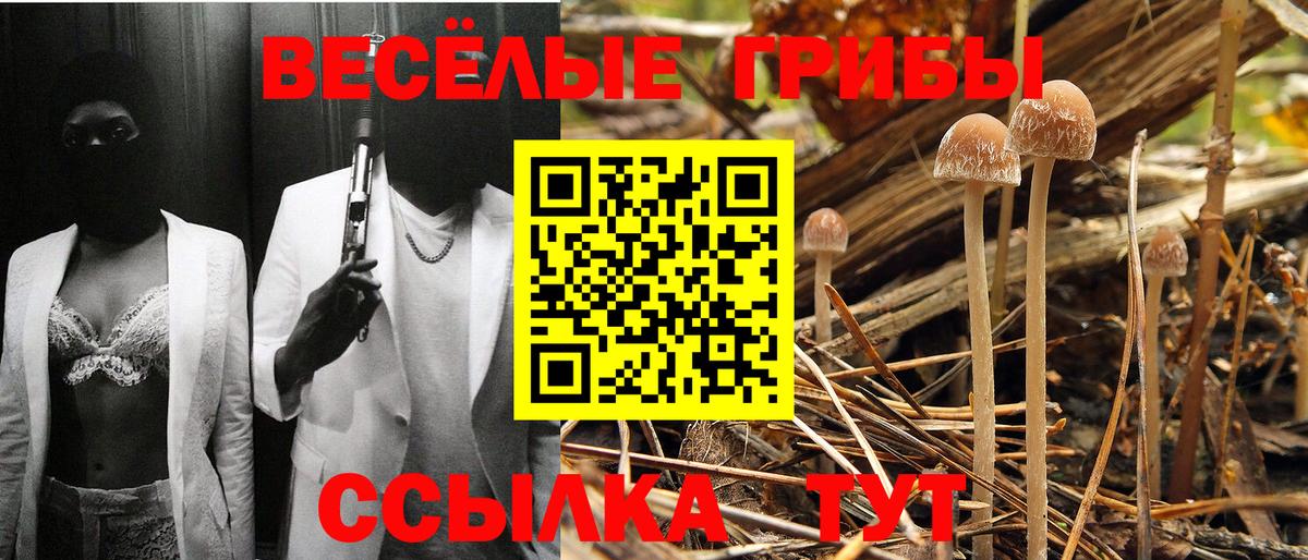 Галлюциногенные грибы Cubensis  Вход с VPN  Великий Новгород 